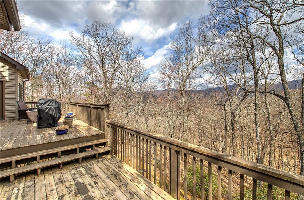 207 Stone Ridge Court Jasper, GA 30143 - Photo 3 of 23