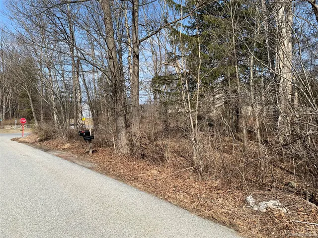a view of path and trees