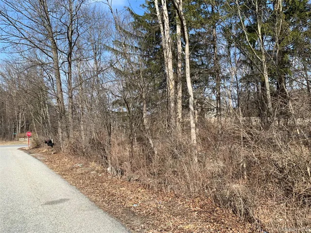a backyard of a house with large trees