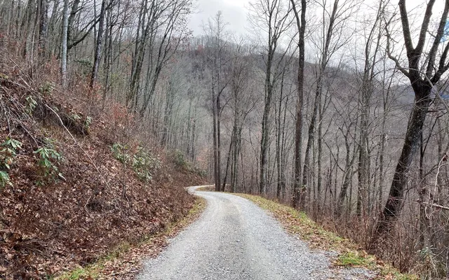 $100,000 | Lot J4 Buck Naked, Bryson City, NC 28713