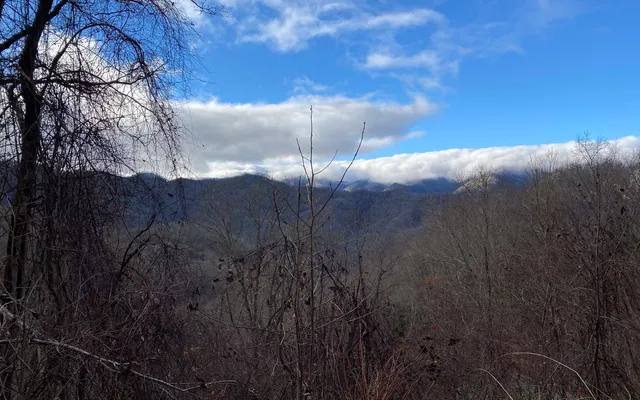 $100,000 | Lot J4 Buck Naked, Bryson City, NC 28713