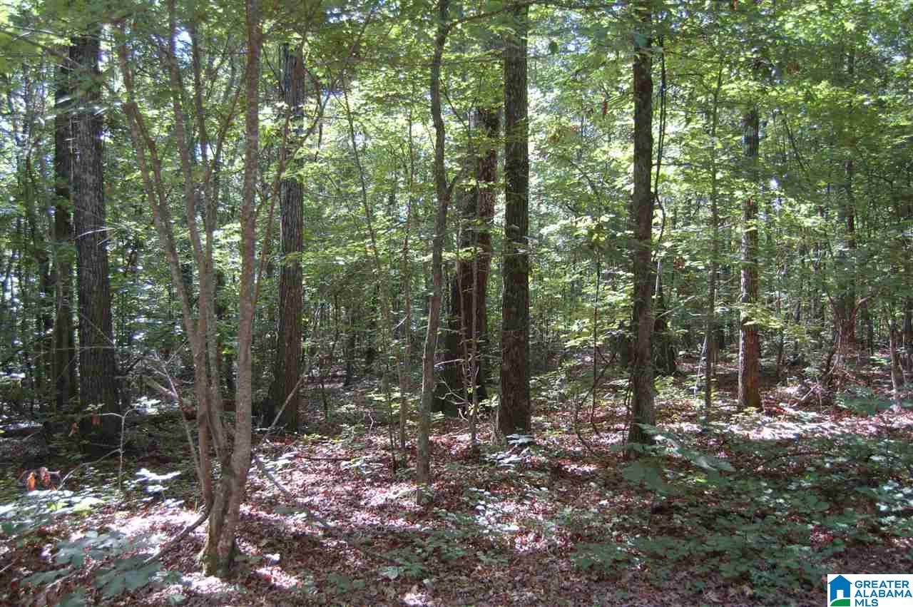 5 Highway Ac Al, Unit 96 23 Woodstock, AL 35188 - Photo 19 of 20