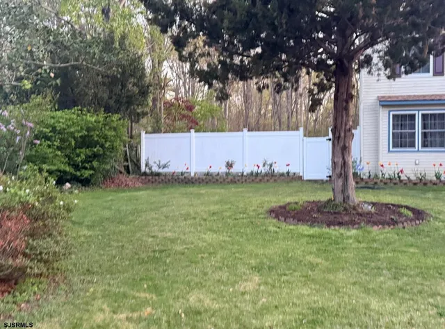 a view of a backyard