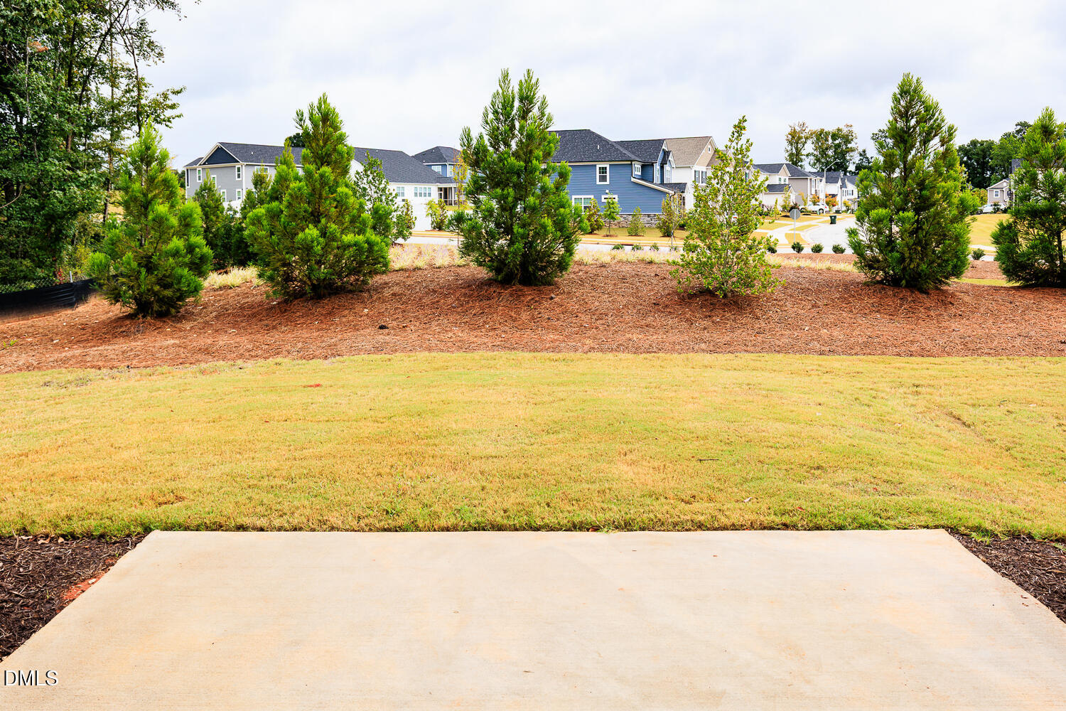 144 Siebold Street Garner, NC 27529 - Photo 13 of 35 MAGTH-Lot 483_Blayre_QMI (11)