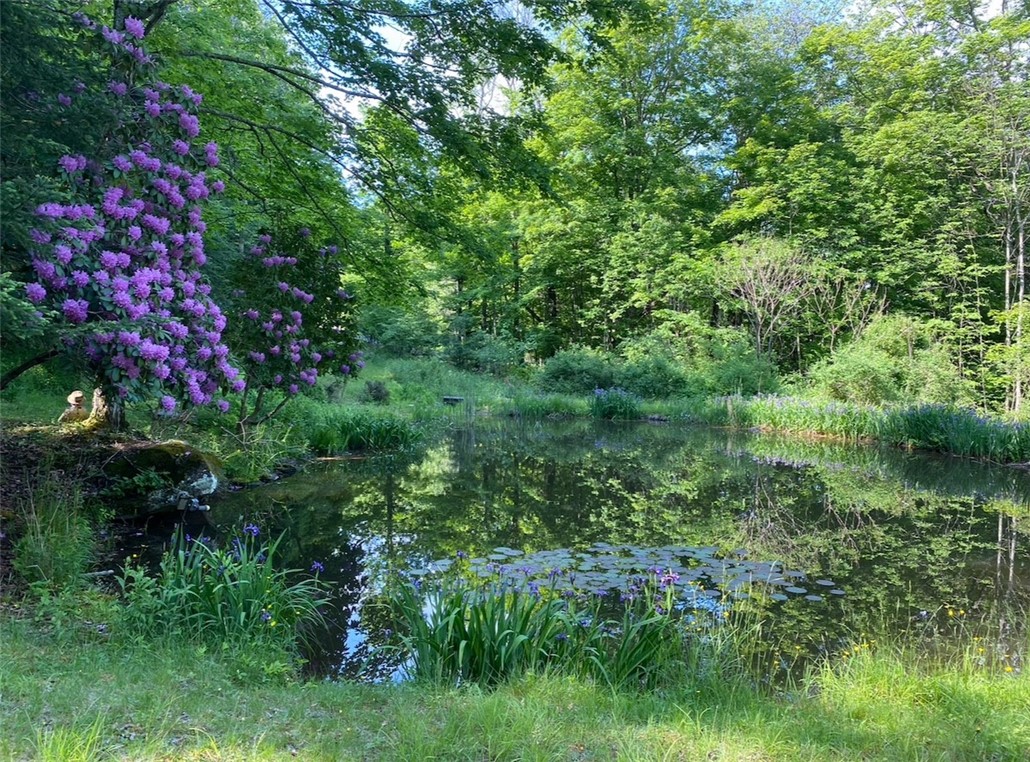 3 Maegers Road Margaretville, NY 12455 - Photo 2 of 31 Pond