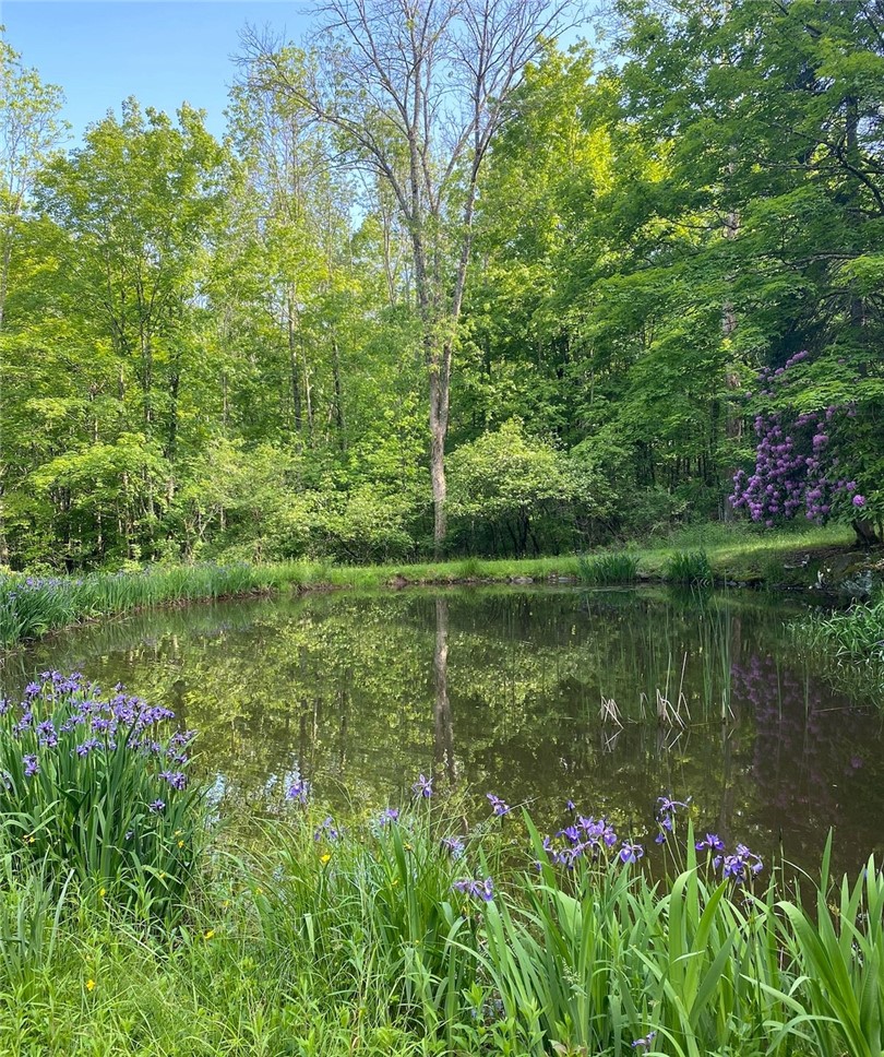 3 Maegers Road Margaretville, NY 12455 - Photo 26 of 31 Beautiful!