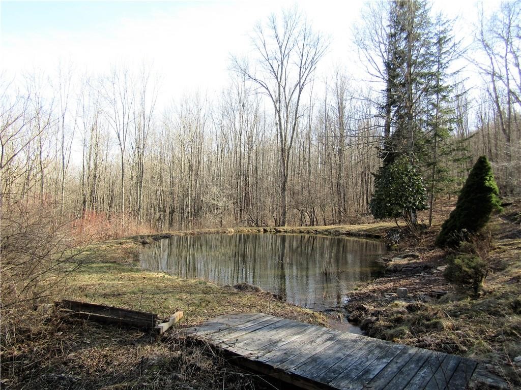 3 Maegers Road Margaretville, NY 12455 - Photo 28 of 31 Come relax