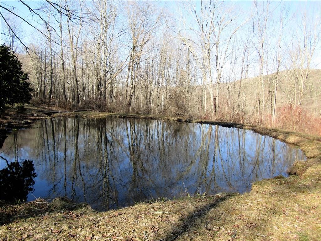 3 Maegers Road Margaretville, NY 12455 - Photo 29 of 31 Lovely pond