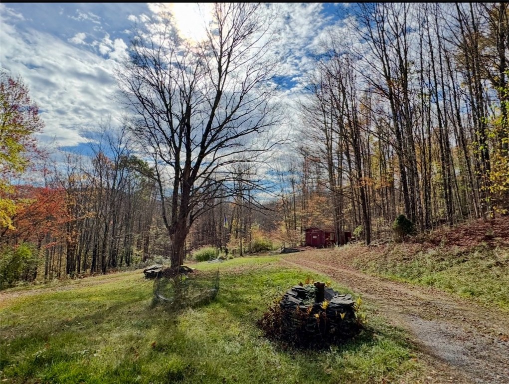 3 Maegers Road Margaretville, NY 12455 - Photo 3 of 31 Privacy!