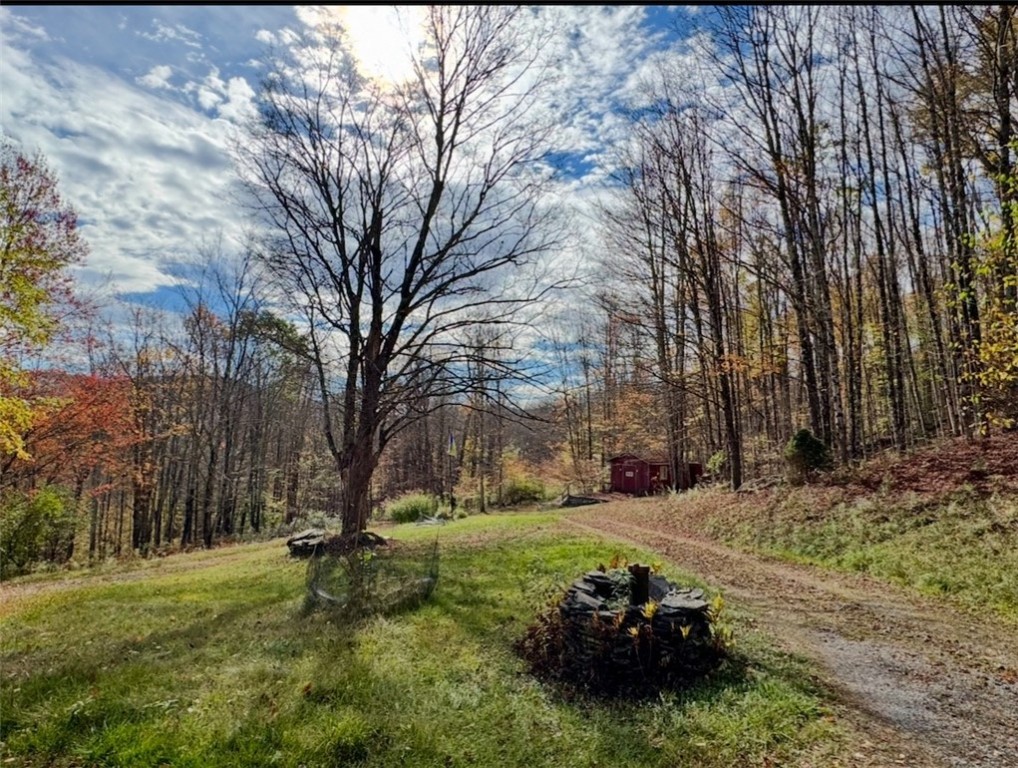 3 Maegers Road Margaretville, NY 12455 - Photo 3 of 31 Privacy!