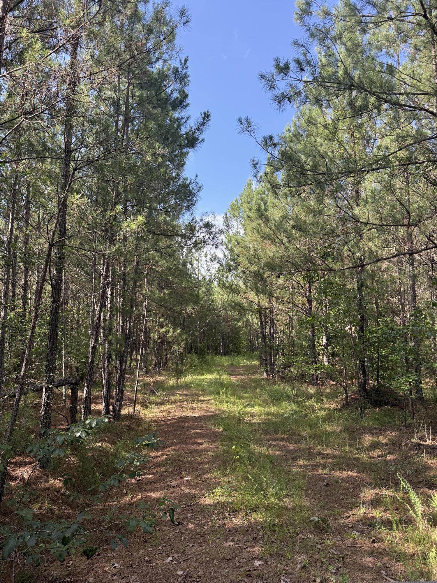 Tbd Tbd Us-378 McCormick, SC 29835 - Photo 10 of 15