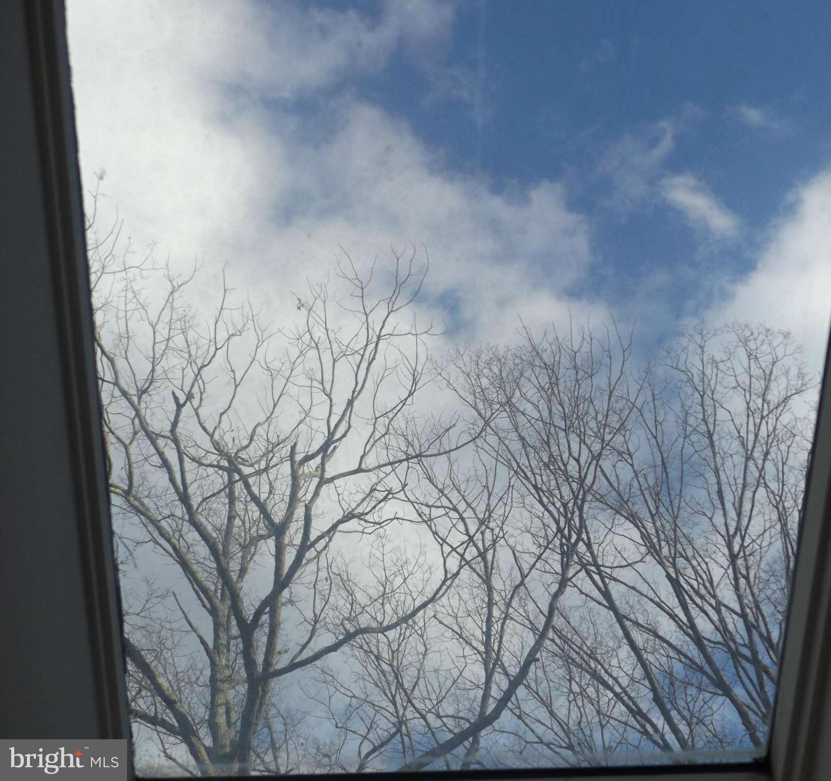857 Childs Point Road Annapolis, MD 21401 - Photo 29 of 29 skylight in main level foyer