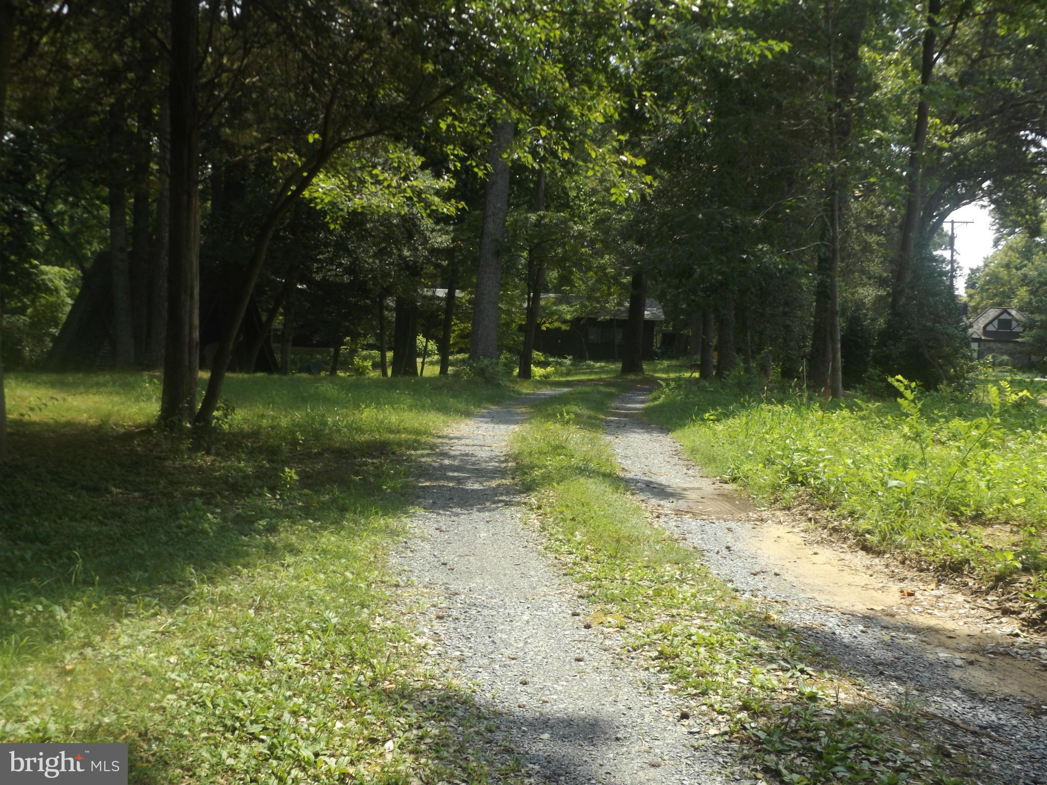 857 Childs Point Road Annapolis, MD 21401 - Photo 4 of 29 private drive looking towards home
