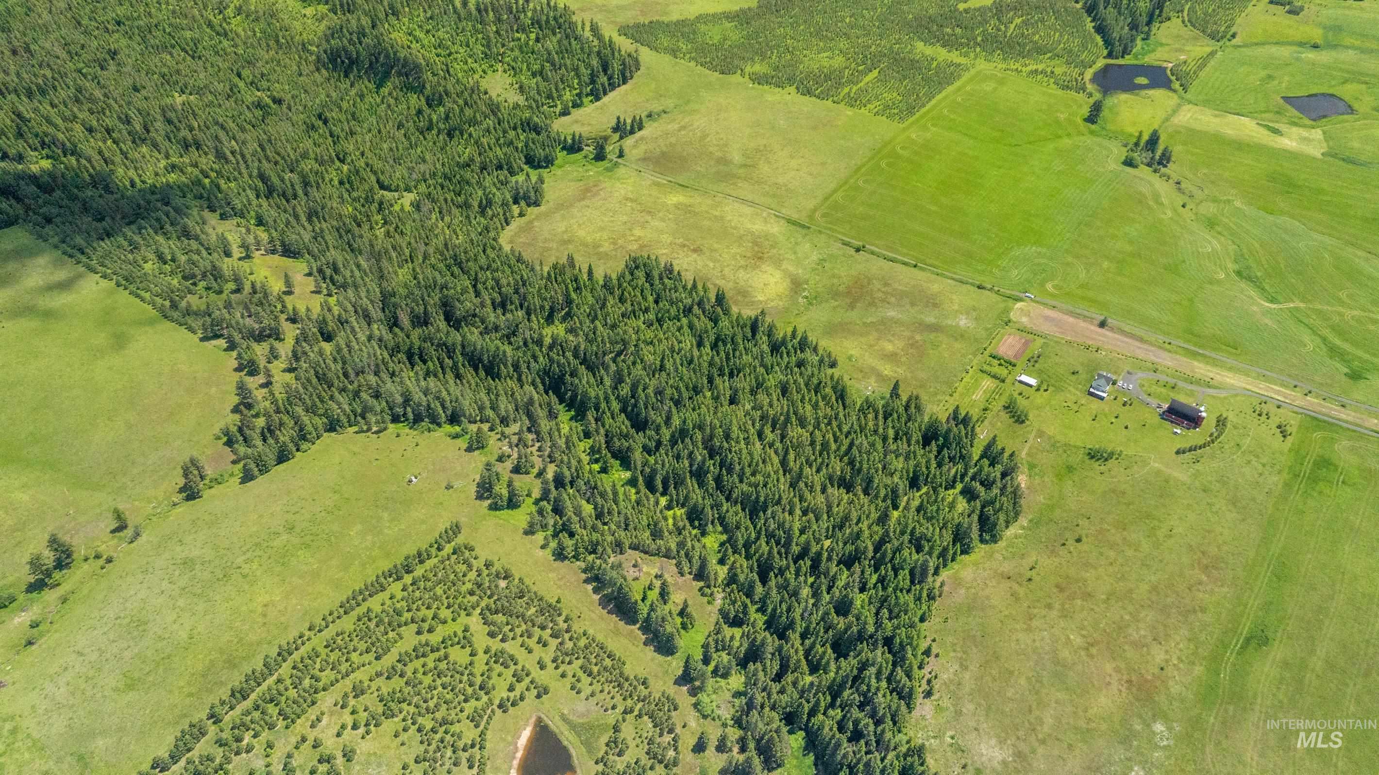 Tbd Barley Drive Lenore, ID 83541 - Photo 11 of 45