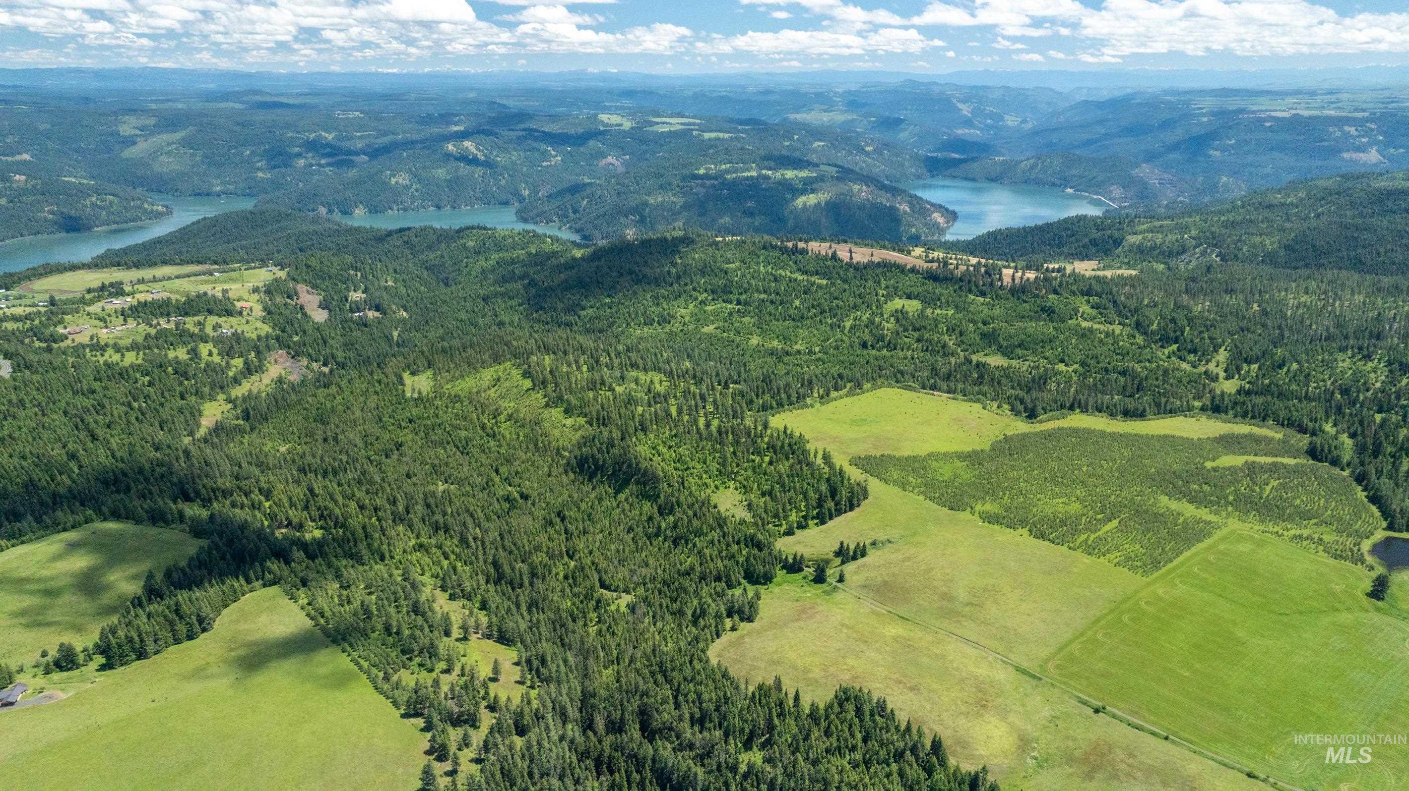 Tbd Barley Drive Lenore, ID 83541 - Photo 12 of 45