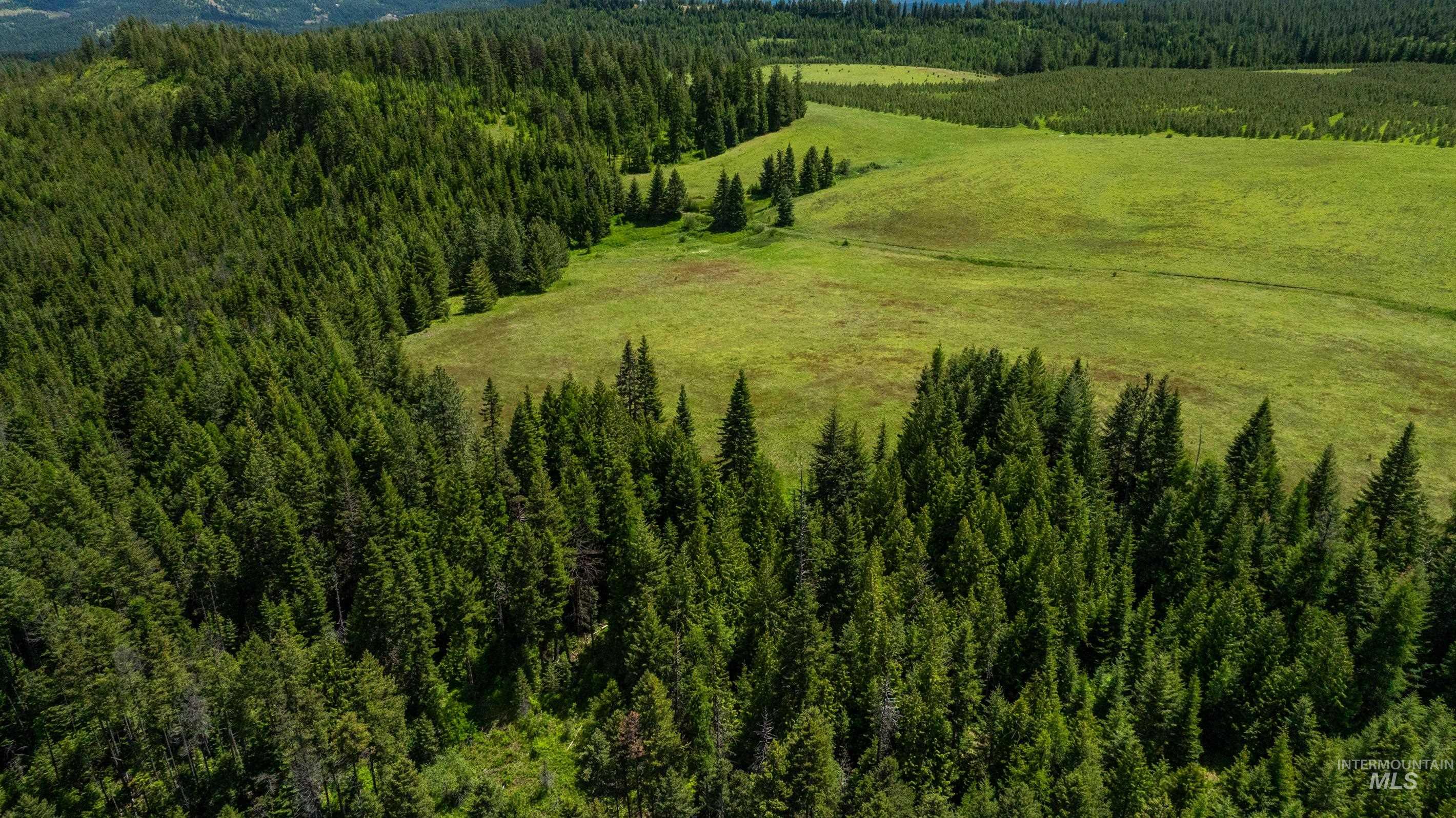 Tbd Barley Drive Lenore, ID 83541 - Photo 17 of 45