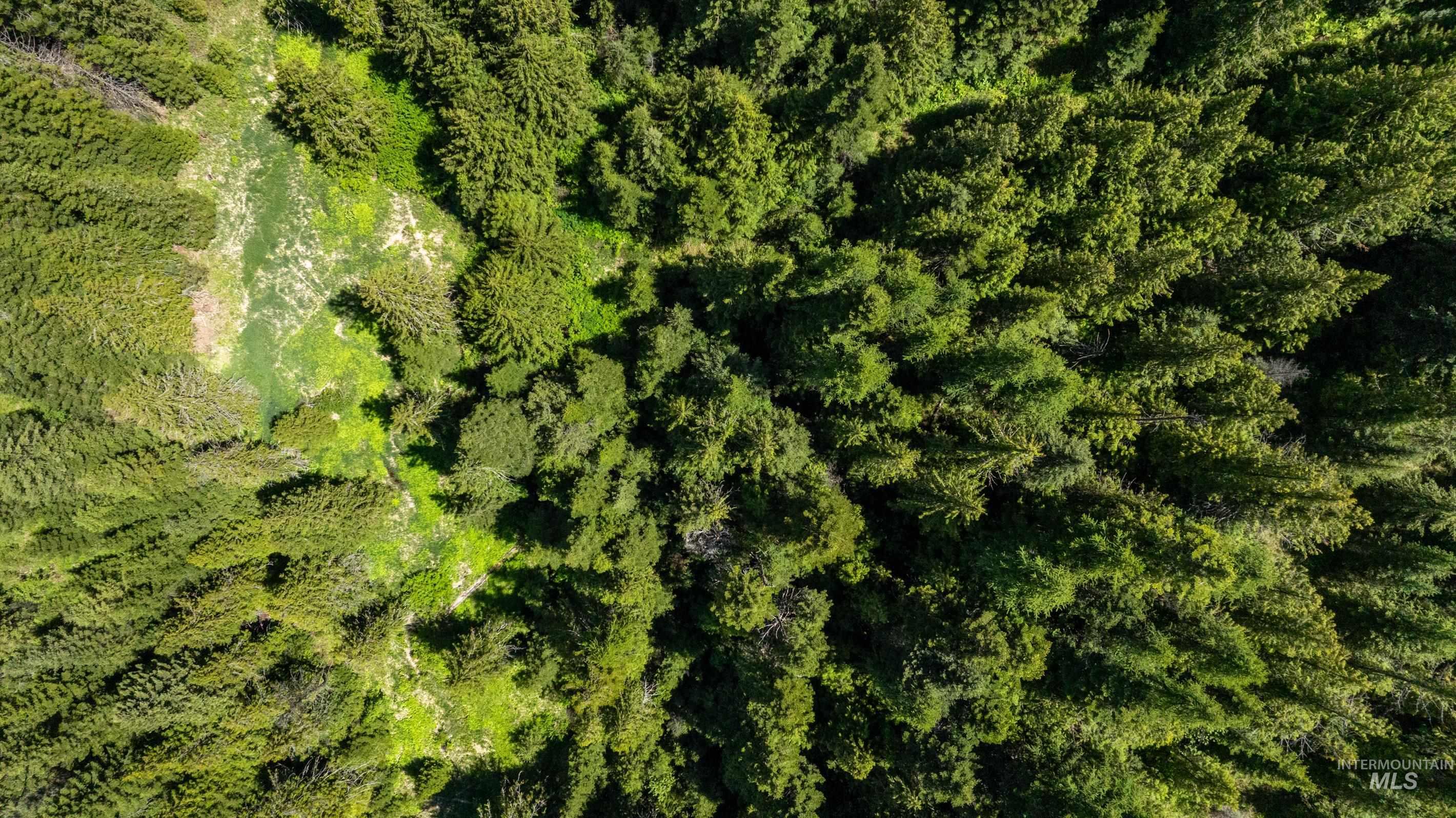 Tbd Barley Drive Lenore, ID 83541 - Photo 18 of 45