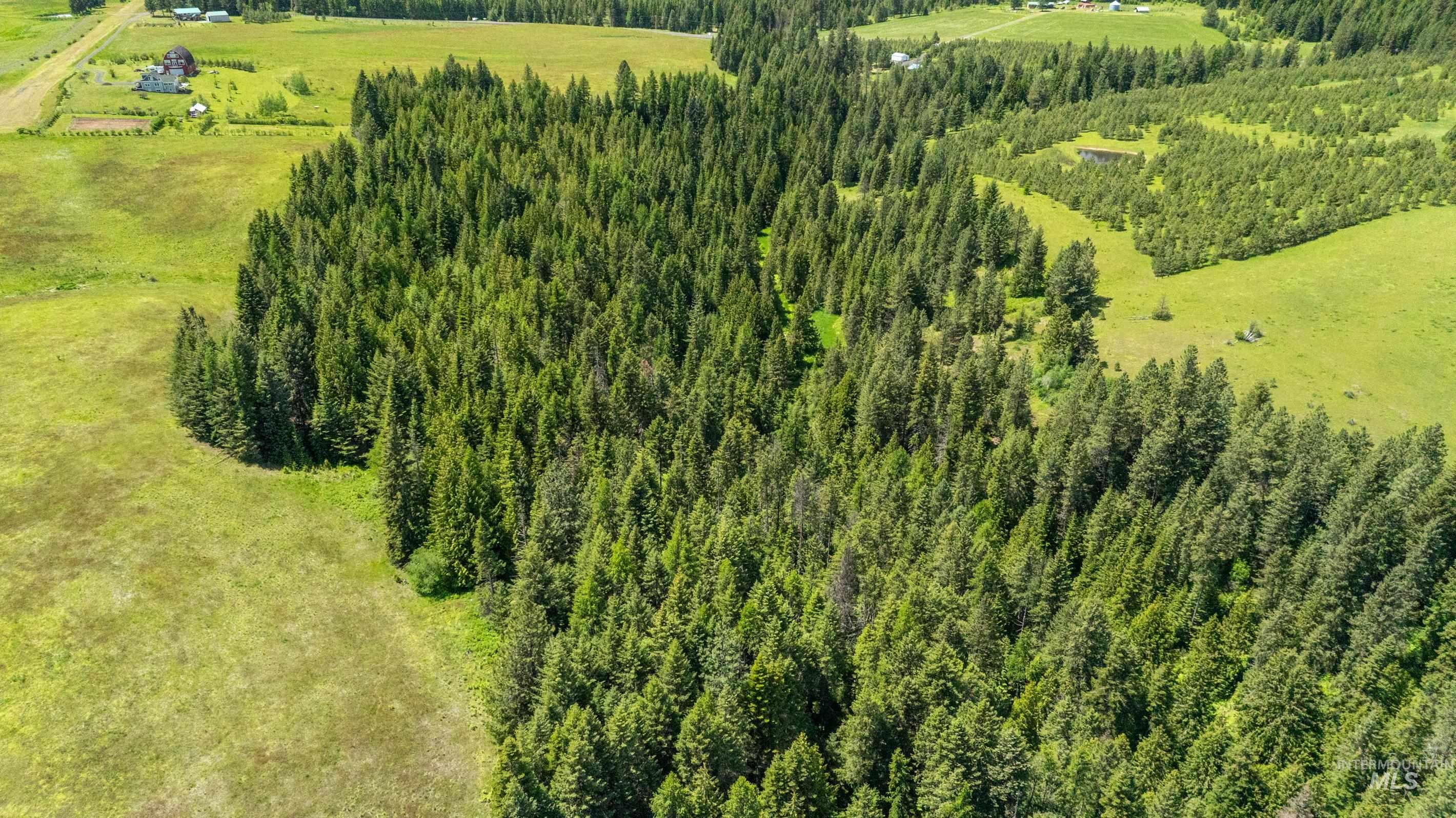 Tbd Barley Drive Lenore, ID 83541 - Photo 23 of 45