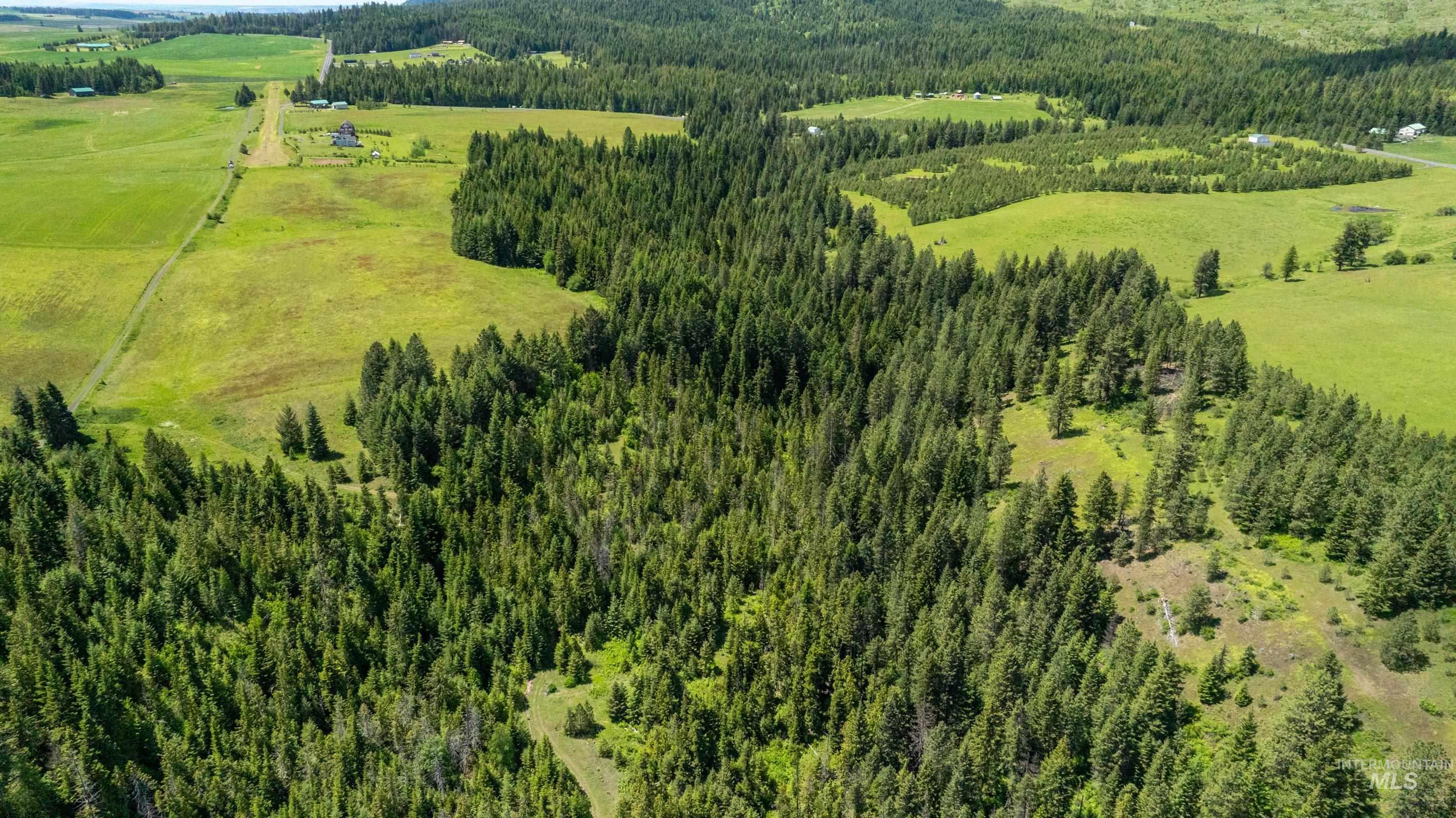 Tbd Barley Drive Lenore, ID 83541 - Photo 24 of 45