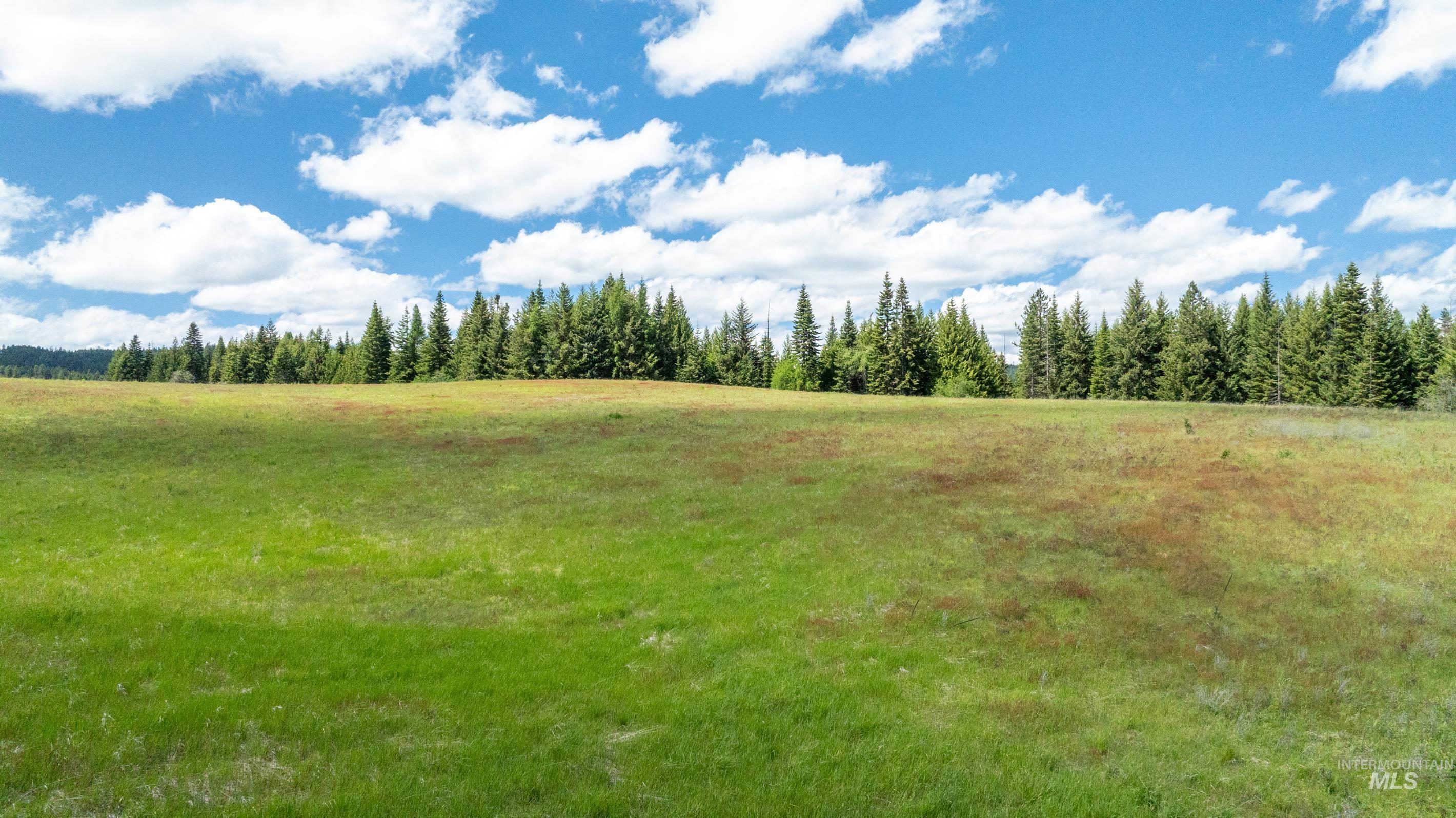 Tbd Barley Drive Lenore, ID 83541 - Photo 31 of 45
