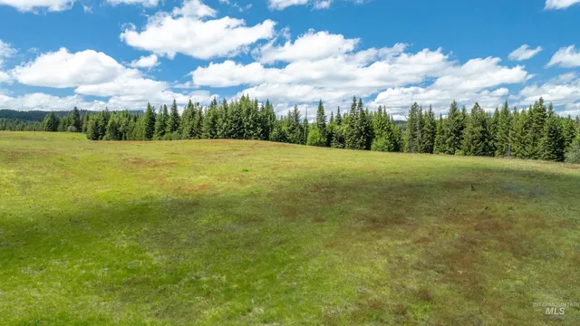 $1,199,900 | Tbd Barley Drive, Lenore, ID 83541