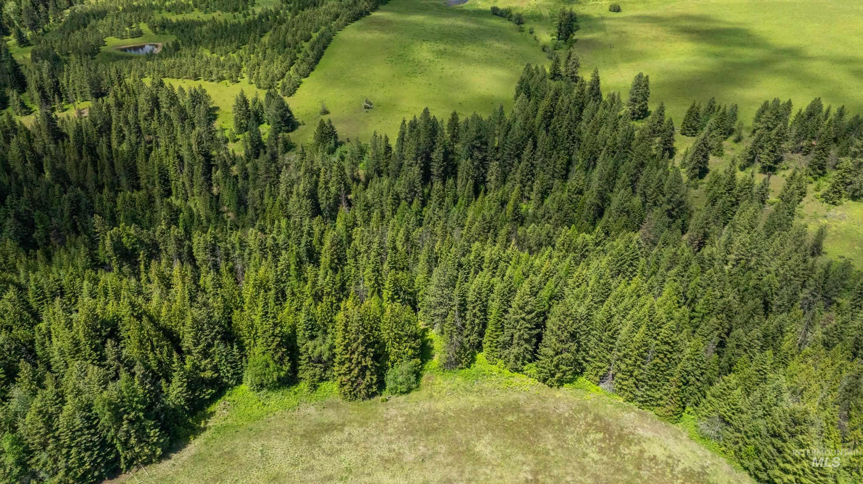 Tbd Barley Drive Lenore, ID 83541 - Photo 33 of 45