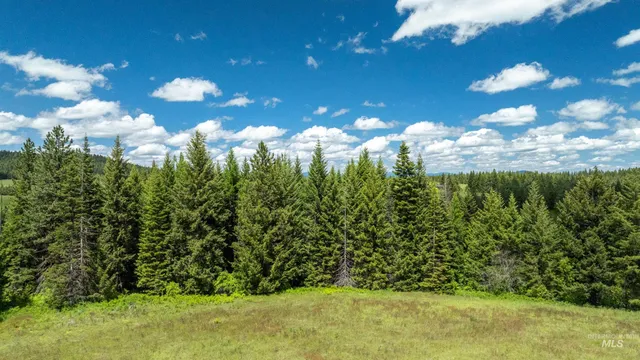 $1,199,900 | Tbd Barley Drive, Lenore, ID 83541
