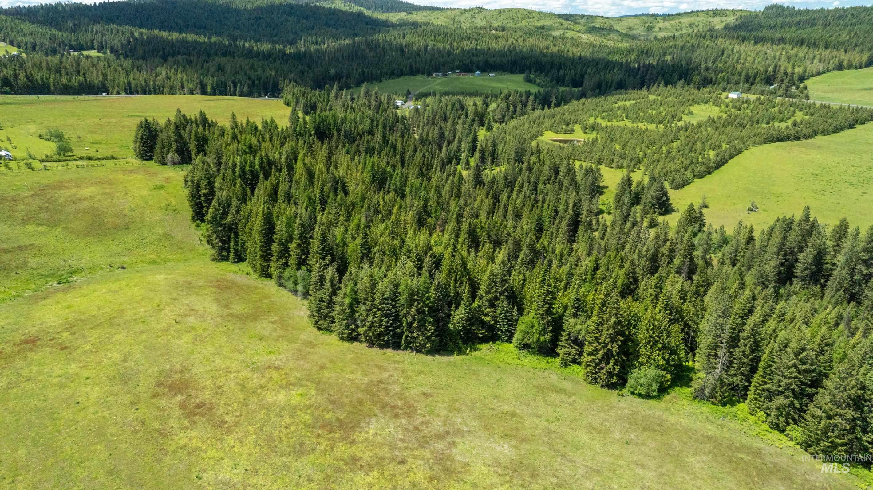 Tbd Barley Drive Lenore, ID 83541 - Photo 35 of 45