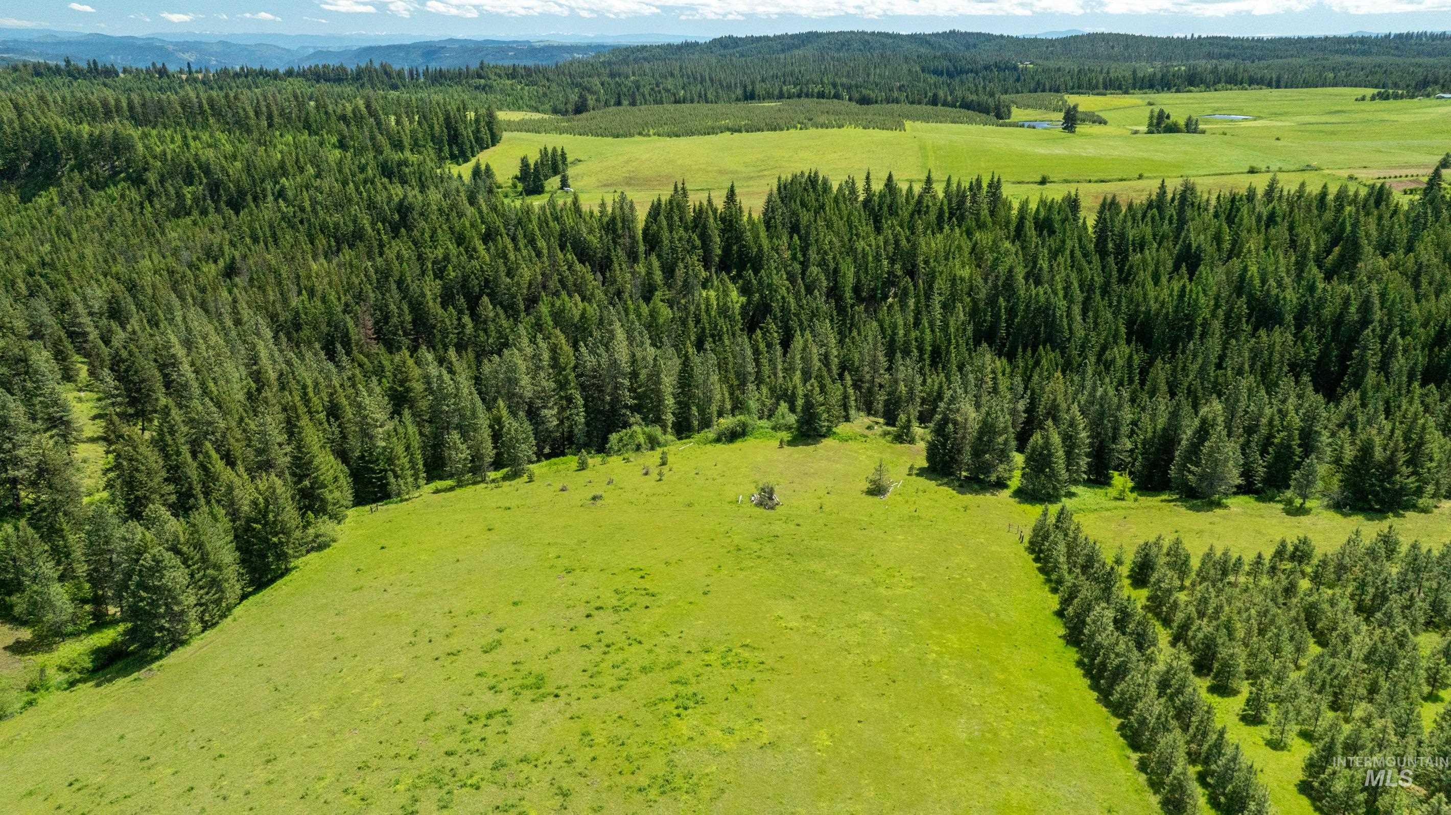 Tbd Barley Drive Lenore, ID 83541 - Photo 36 of 45