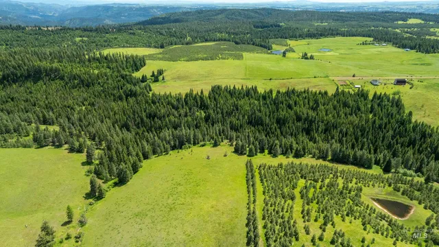 $1,199,900 | Tbd Barley Drive, Lenore, ID 83541