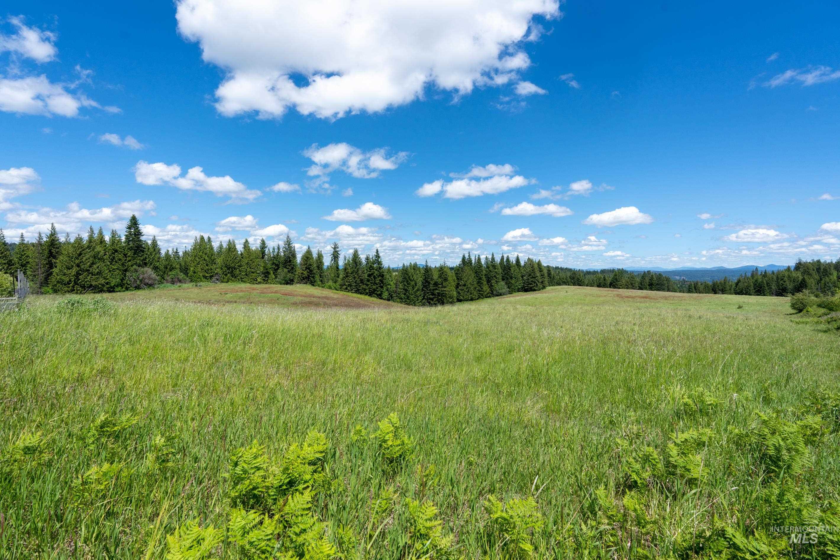 Tbd Barley Drive Lenore, ID 83541 - Photo 39 of 45
