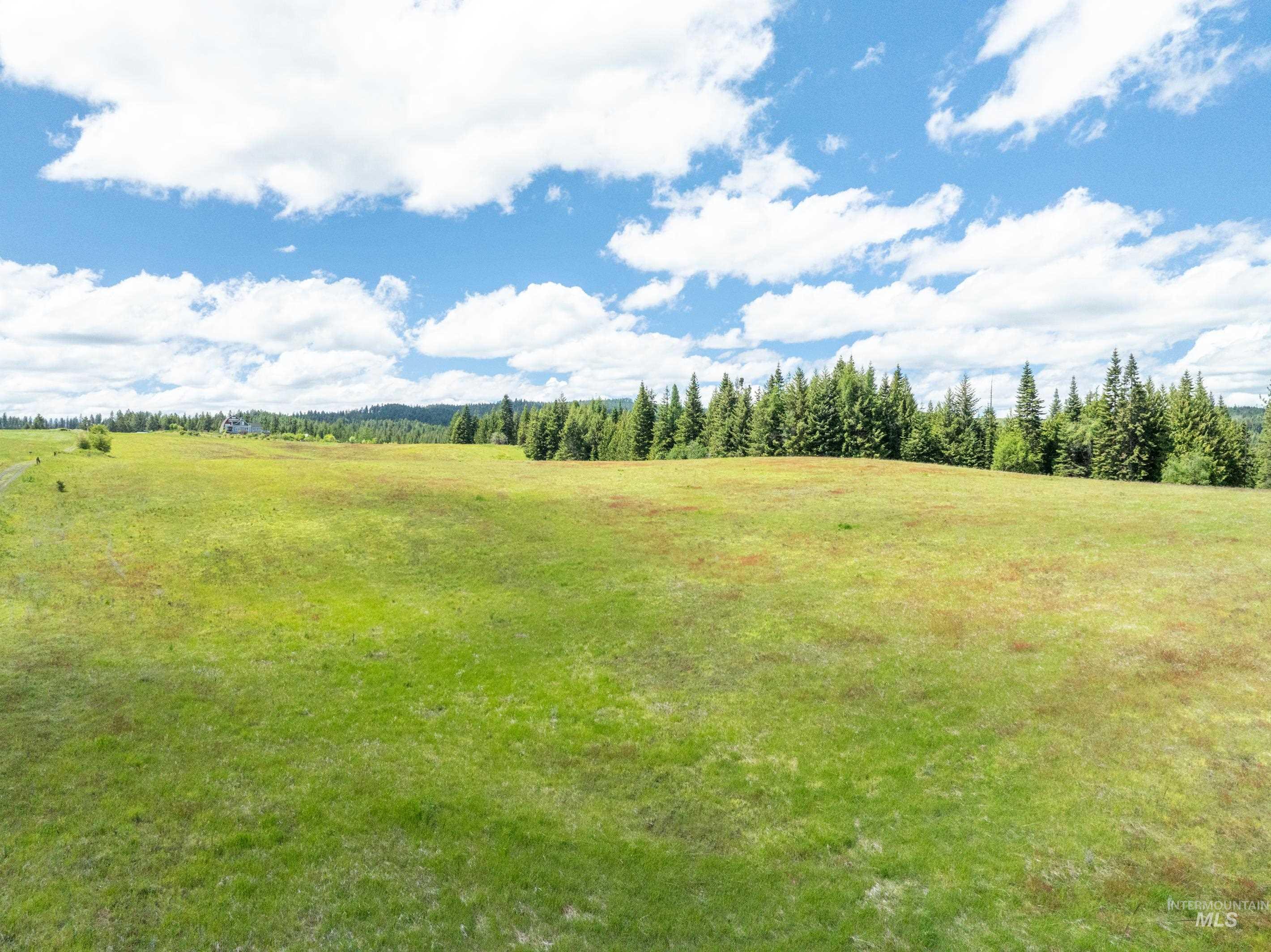 Tbd Barley Drive Lenore, ID 83541 - Photo 40 of 45
