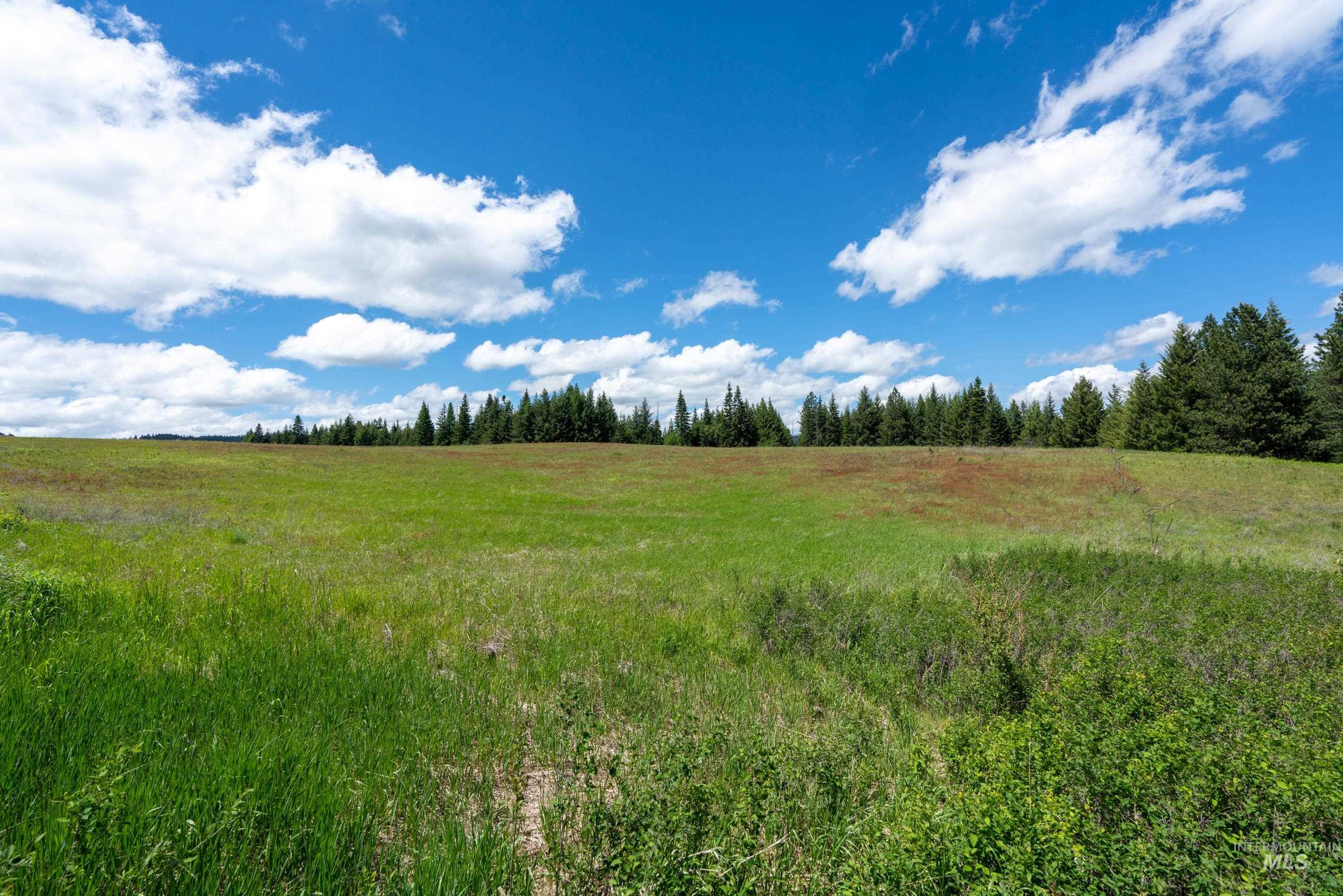Tbd Barley Drive Lenore, ID 83541 - Photo 41 of 45