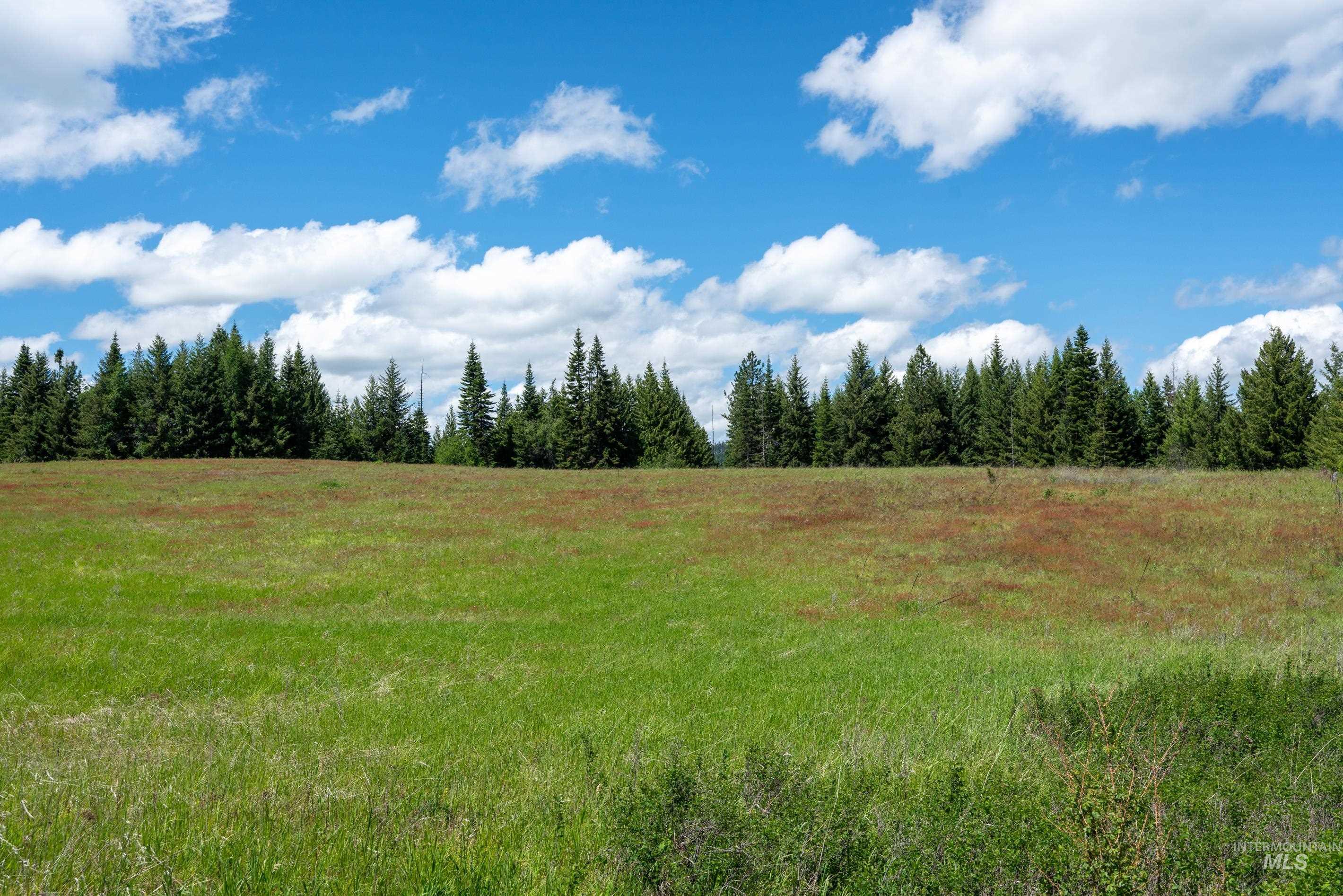 Tbd Barley Drive Lenore, ID 83541 - Photo 42 of 45