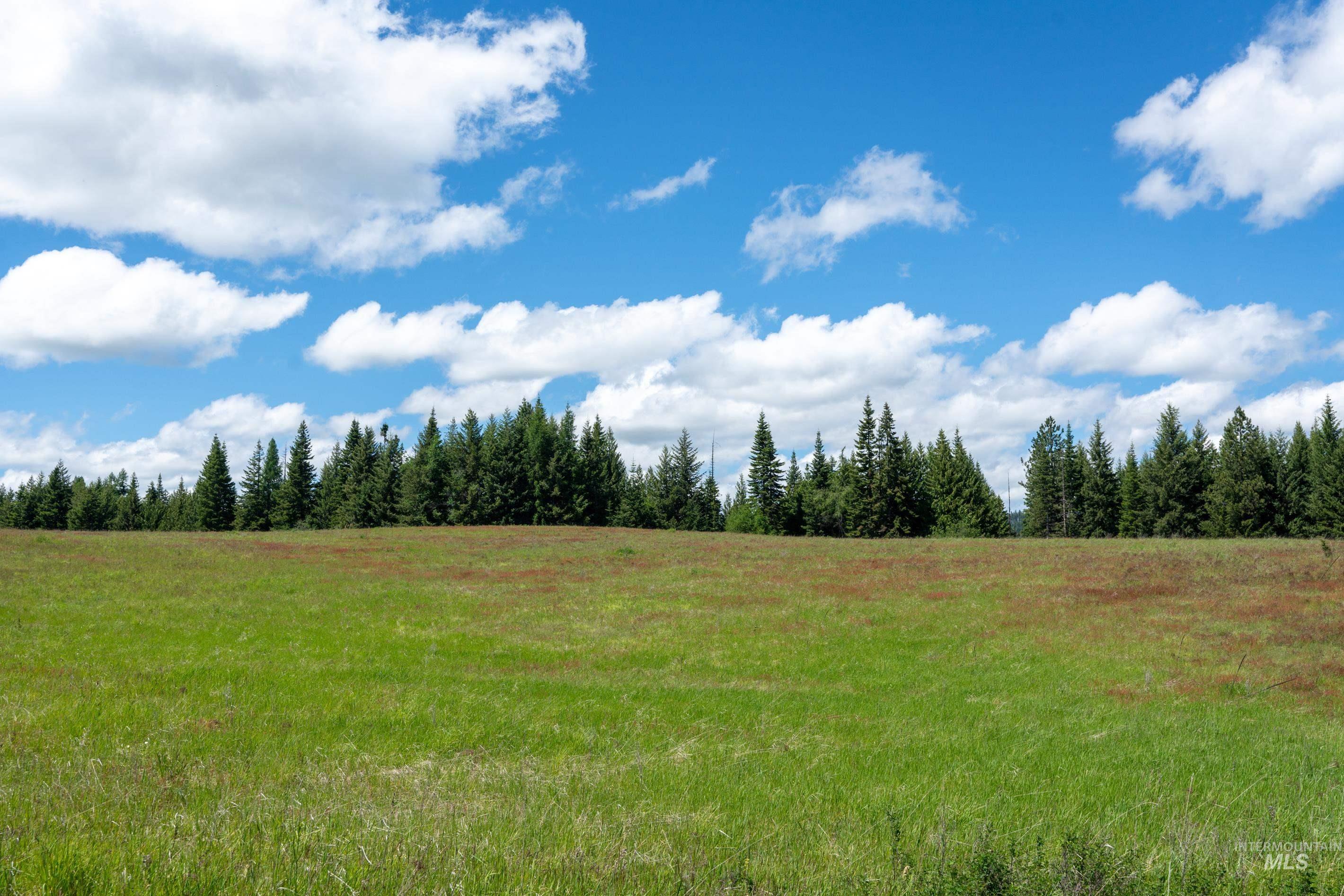 Tbd Barley Drive Lenore, ID 83541 - Photo 43 of 45