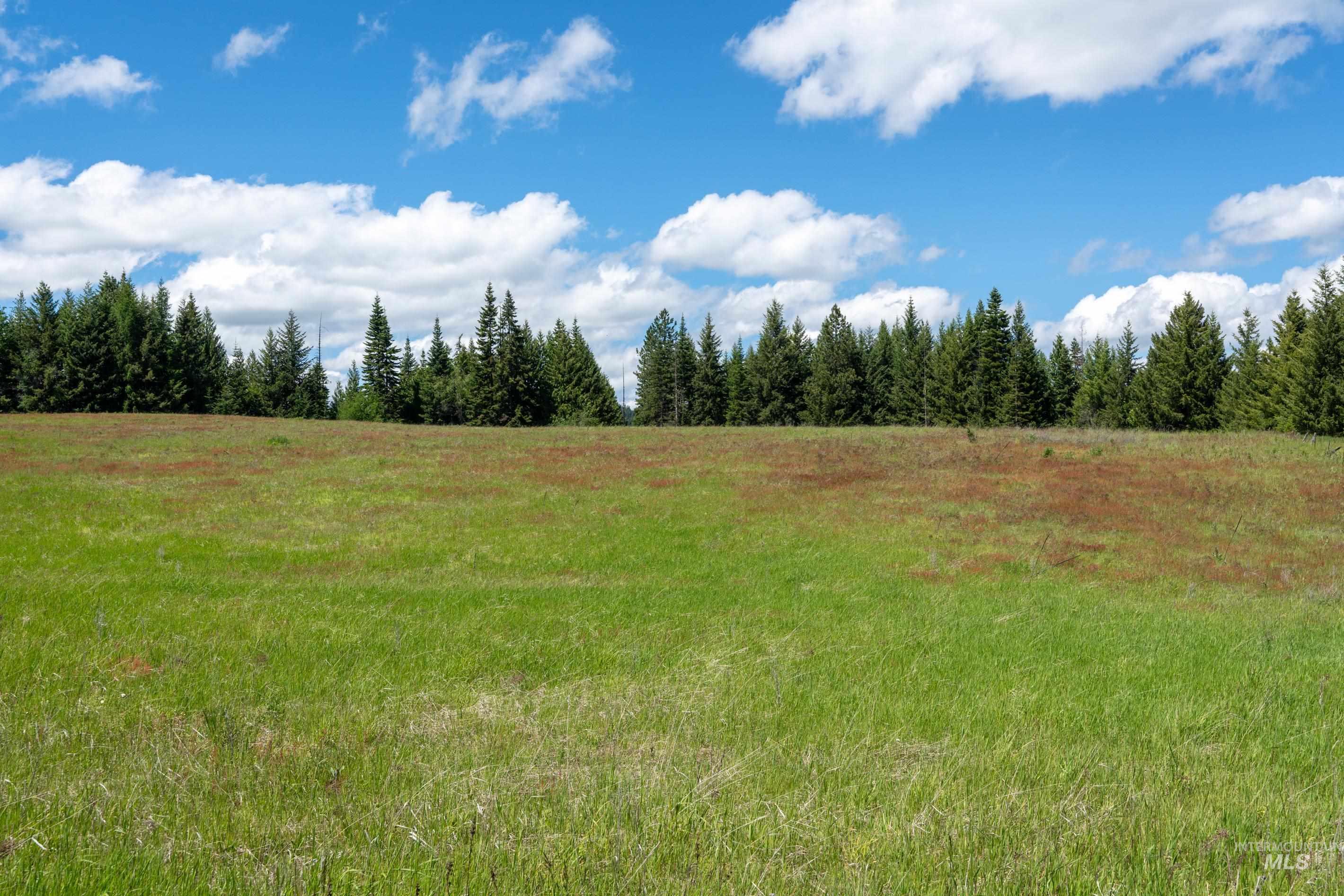 Tbd Barley Drive Lenore, ID 83541 - Photo 44 of 45