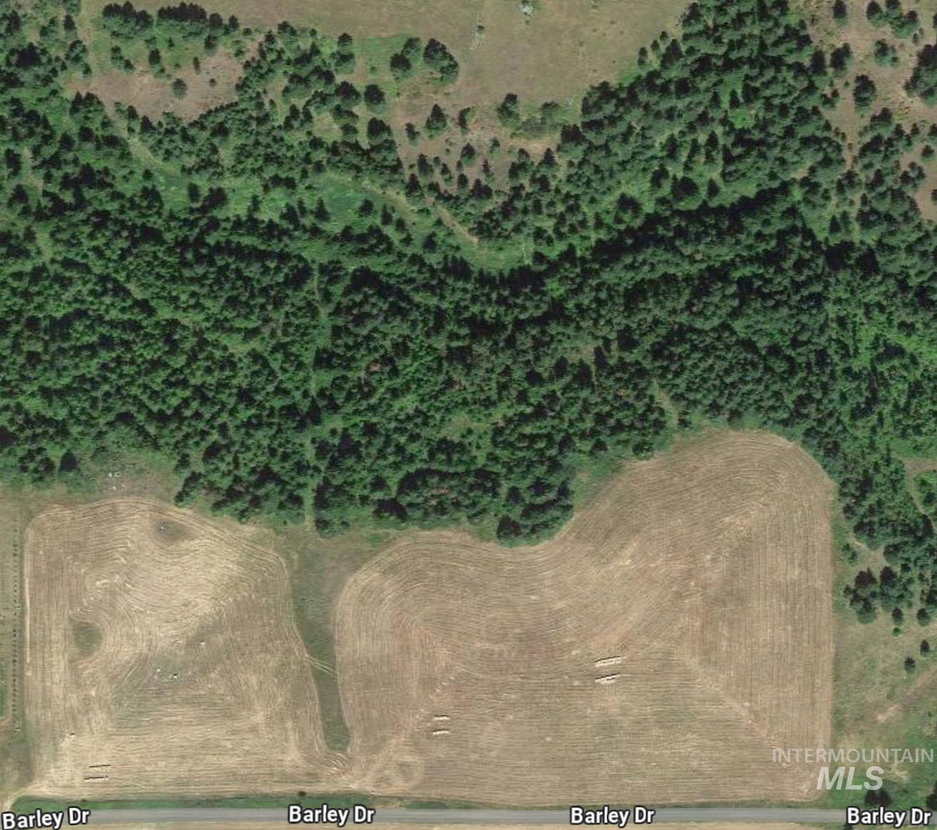 Tbd Barley Drive Lenore, ID 83541 - Photo 45 of 45