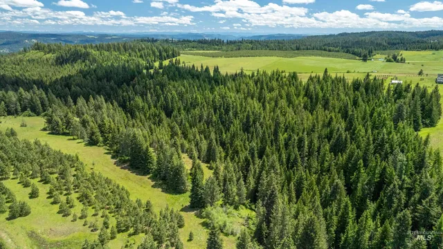 $1,199,900 | Tbd Barley Drive, Lenore, ID 83541