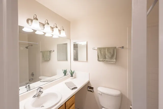 a lake view with a bench next to a lake