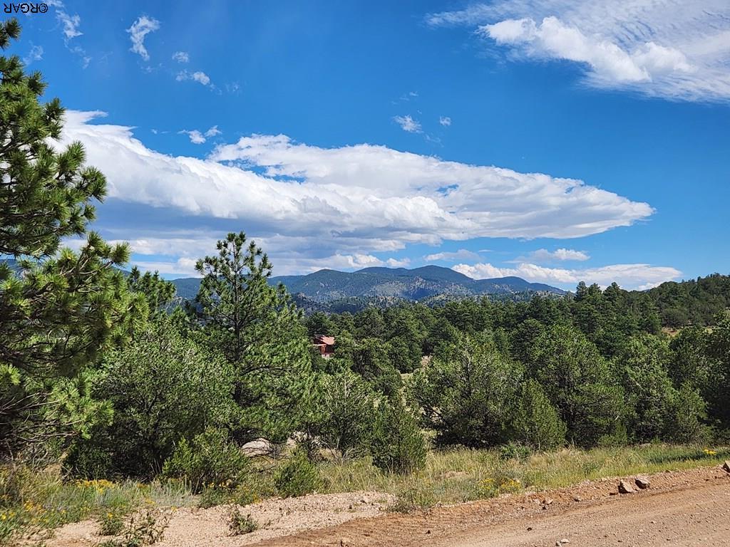 15 Arroyo Road Westcliffe, CO 81252 - Photo 16 of 29 Gallery Image 16