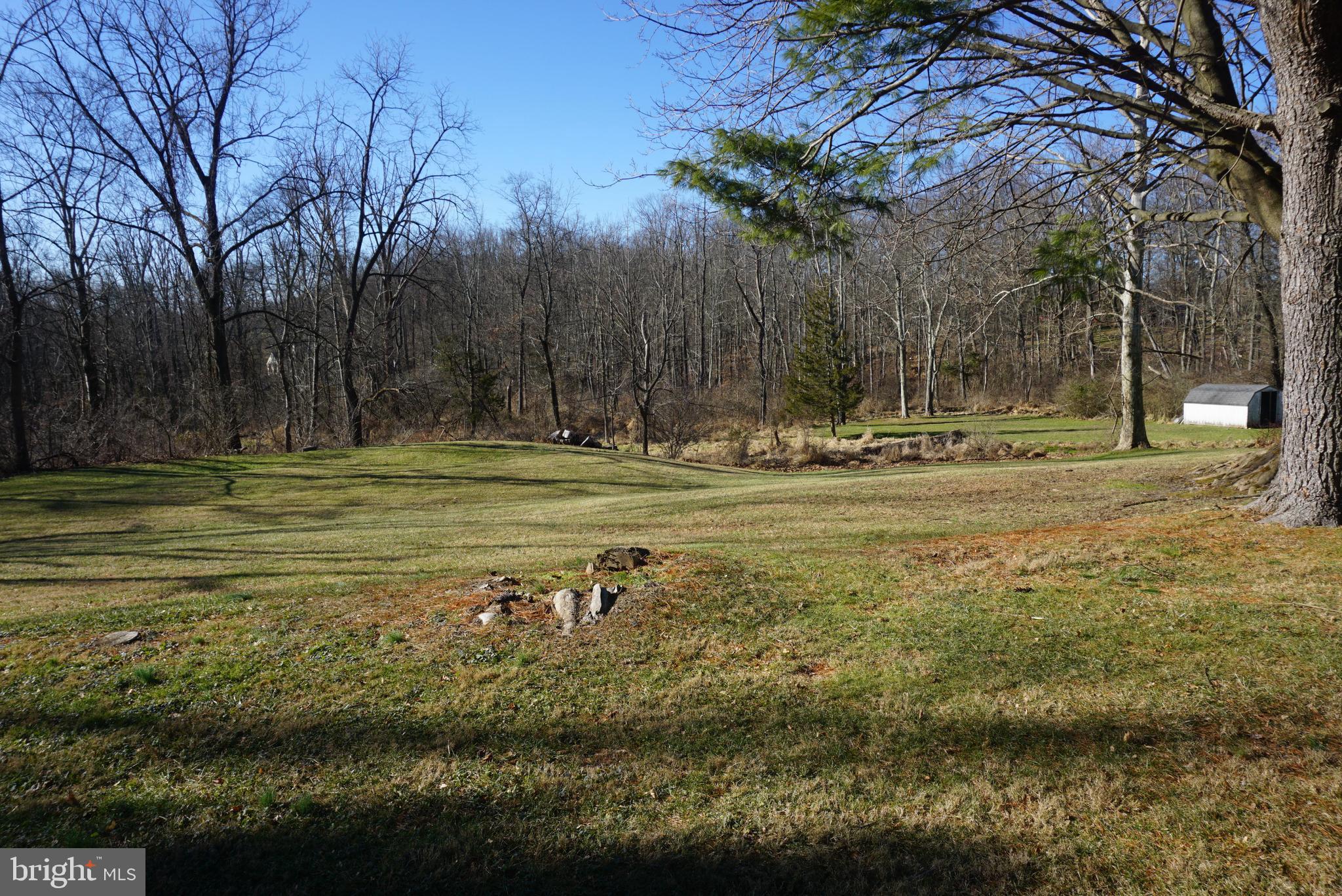 100 Cheese Factory Road Doylestown, PA 18901 - Photo 46 of 50 Backyard