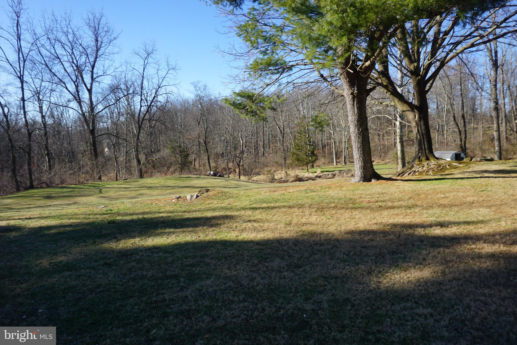100 Cheese Factory Road Doylestown, PA 18901 - Photo 48 of 50 Backyard