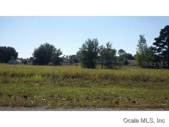 Tbd Cedar Road Ocala, FL 34472 - Photo 1 of 1 Primary Photo