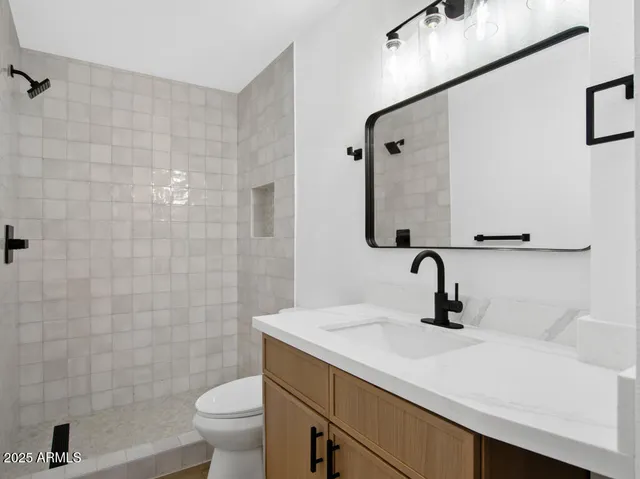 a bathroom with a sink a toilet and shower