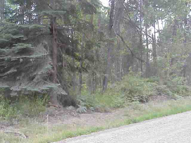 Xx Mason Road Springdale, WA 99173 - Photo 2 of 7
