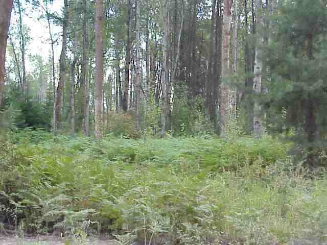 Xx Mason Road Springdale, WA 99173 - Photo 3 of 7