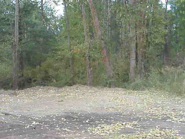 Xx Mason Road Springdale, WA 99173 - Photo 5 of 7