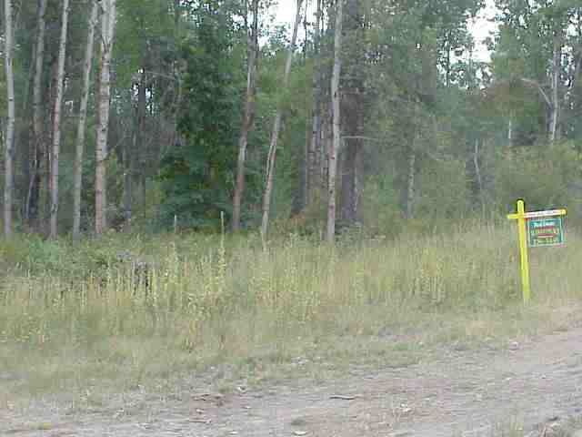 Xx Mason Road Springdale, WA 99173 - Photo 6 of 7