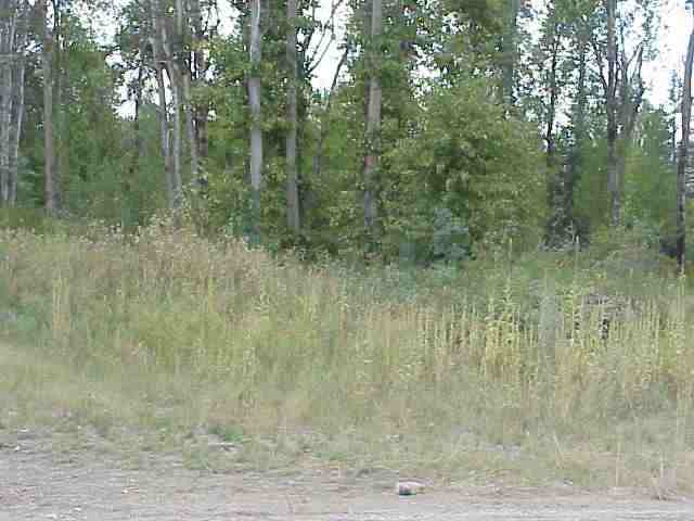 Xx Mason Road Springdale, WA 99173 - Photo 7 of 7