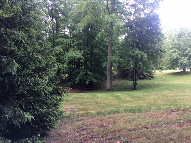 9988 West Finkle Road McBain, MI 49657 - Photo 27 of 68 1844156-42.JPG